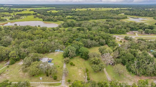 14619 Little Lake Rd, Spring Hill, FL 34610 - photo 11