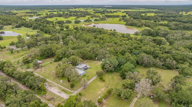 14619 Little Lake Rd, Spring Hill, FL 34610 - photo 12