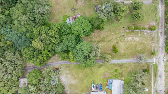 14619 Little Lake Rd, Spring Hill, FL 34610 - photo 14