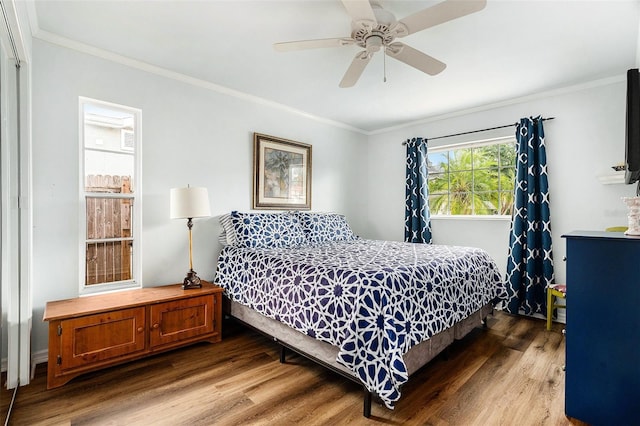 210 Lee St, Oldsmar, FL 34677 - photo 21