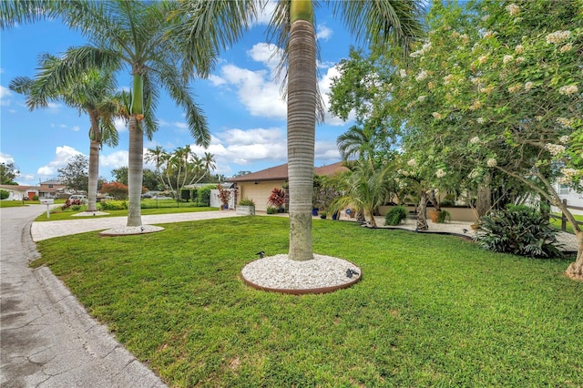 10842 99th Pl, Seminole, FL 33772 - photo 7