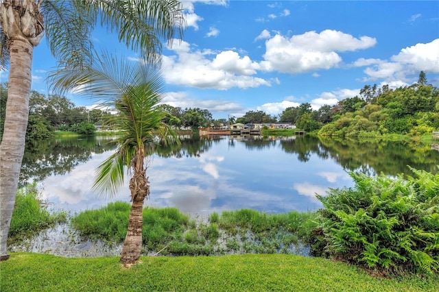 10842 99th Pl, Seminole, FL 33772 - photo 13