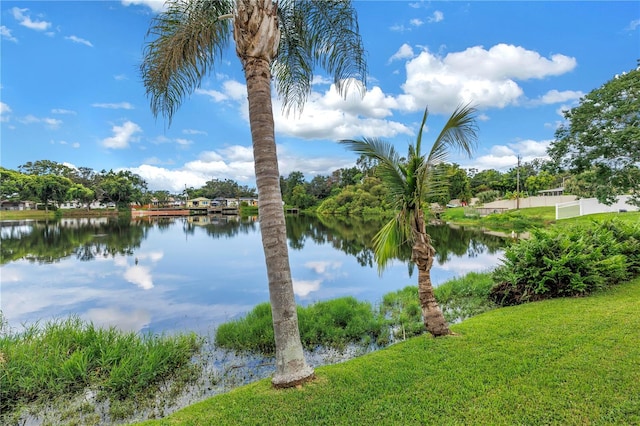10842 99th Pl, Seminole, FL 33772 - photo 18