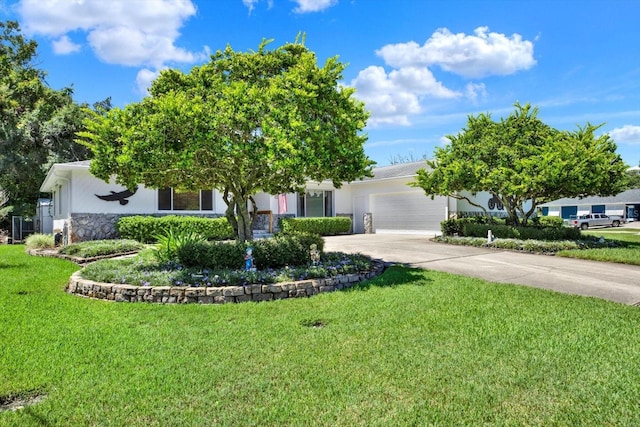 400 Arlington Ave E, Oldsmar, FL 34677 - photo 4