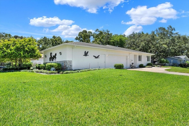 400 Arlington Ave E, Oldsmar, FL 34677 - photo 5