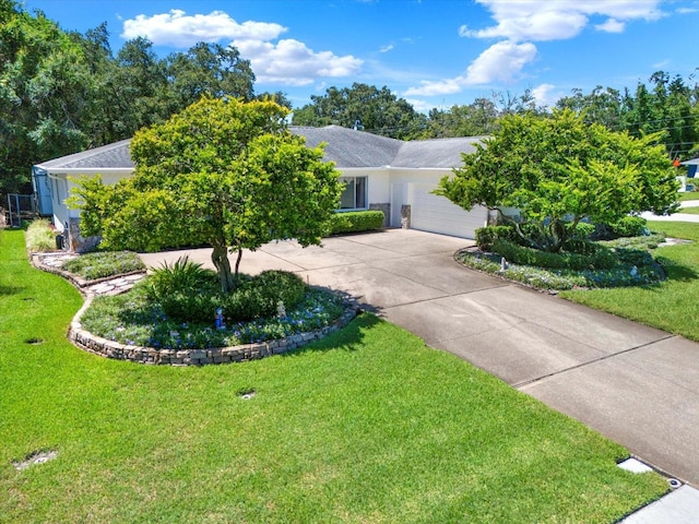 400 Arlington Ave E, Oldsmar, FL 34677 - photo 10