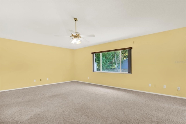 400 Arlington Ave E, Oldsmar, FL 34677 - photo 21