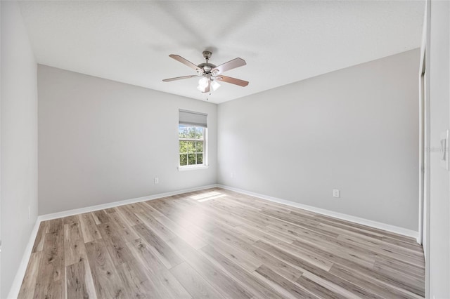 3105 Winglewood Cir, Lutz, FL 33558 - photo 29
