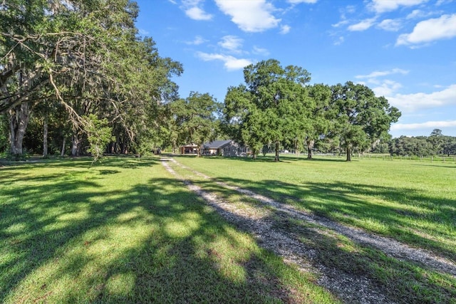 2830 NE 180th Ave, Williston, FL 32696 - photo 38