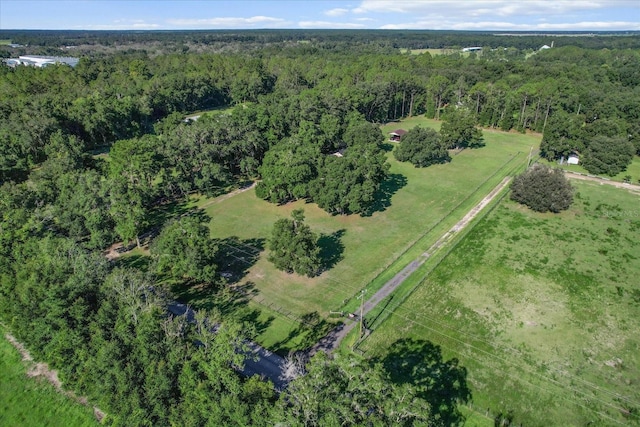 2830 NE 180th Ave, Williston, FL 32696 - photo 43