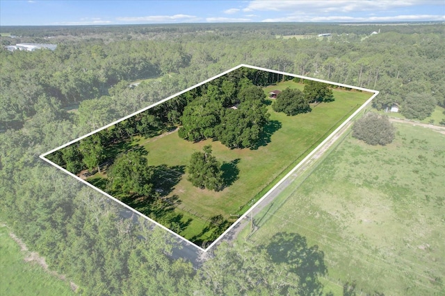 2830 NE 180th Ave, Williston, FL 32696 - photo 44