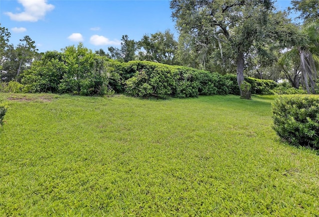 3934 Cedar Cay Cir, Valrico, FL 33596 - photo 63