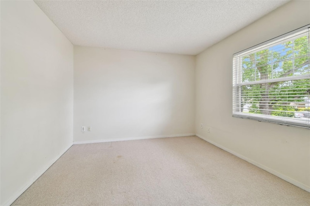 4646 Landscape Dr, Tampa, FL 33624 - photo 33