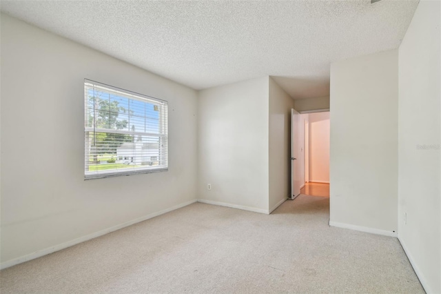 4646 Landscape Dr, Tampa, FL 33624 - photo 34