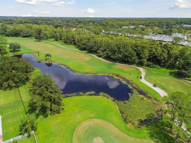 4646 Landscape Dr, Tampa, FL 33624 - photo 82