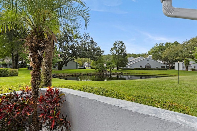 4214 Brentwood Park Cir, Tampa, FL 33624 - photo 5
