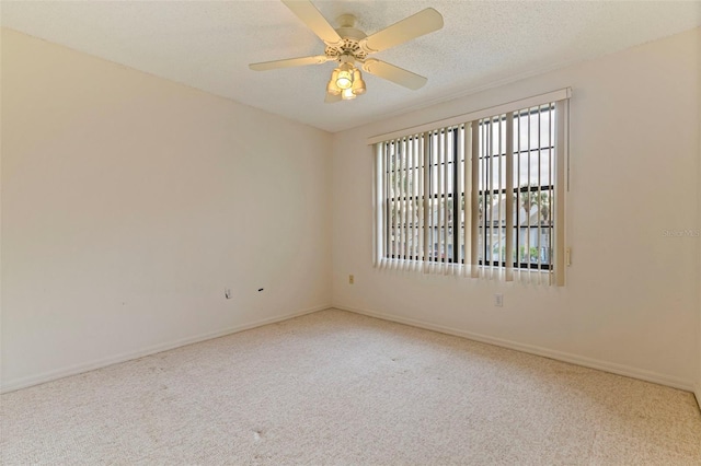 4214 Brentwood Park Cir, Tampa, FL 33624 - photo 31