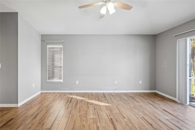 31052 Wrencrest Dr, Wesley Chapel, FL 33543 - photo 27