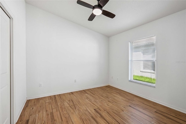 31052 Wrencrest Dr, Wesley Chapel, FL 33543 - photo 40