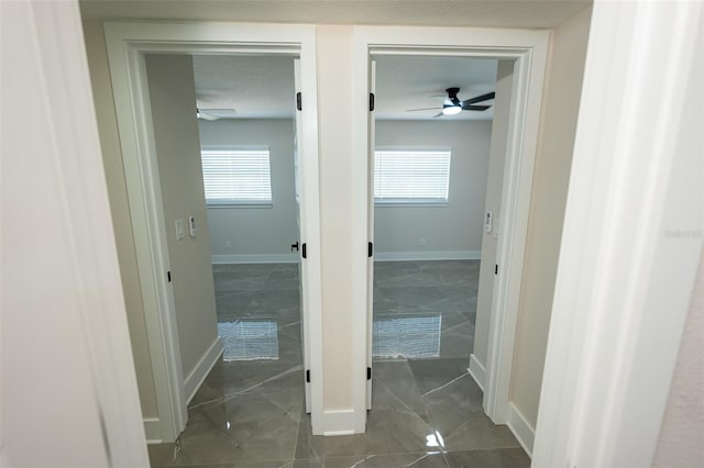 8217 Tanglewood Ln, Tampa, FL 33615 - photo 32