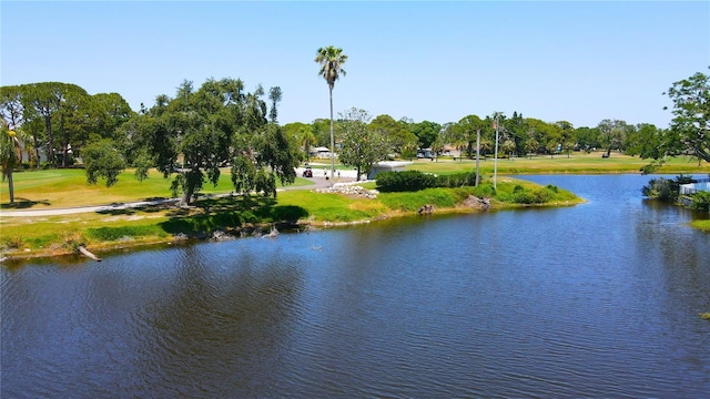 1981 Lakewood Club Dr S Unit 4N, Saint Petersburg, FL 33712 - photo 23