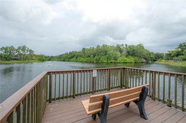 1232 Holly Cir, Oldsmar, FL 34677 - photo 68