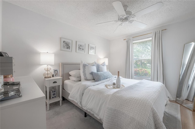 1232 Holly Cir, Oldsmar, FL 34677 - photo 23
