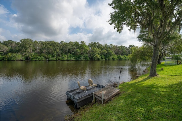 1232 Holly Cir, Oldsmar, FL 34677 - photo 59
