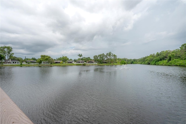 1232 Holly Cir, Oldsmar, FL 34677 - photo 70