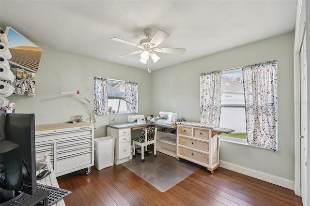 5425 Eagle Blvd, Land O Lakes, FL 34639 - photo 48