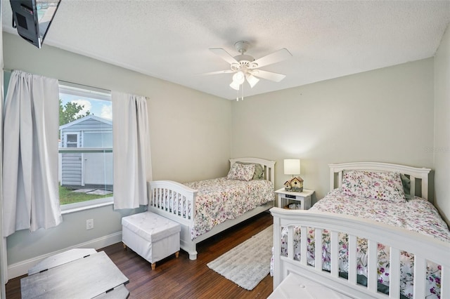 5425 Eagle Blvd, Land O Lakes, FL 34639 - photo 50