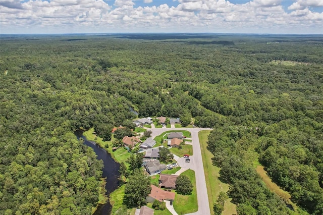5425 Eagle Blvd, Land O Lakes, FL 34639 - photo 83