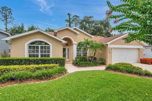 5646 Whitebark Dr, Wesley Chapel, FL 33543 - photo 1