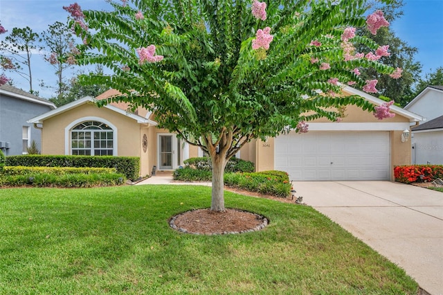 5646 Whitebark Dr, Wesley Chapel, FL 33543 - photo 53