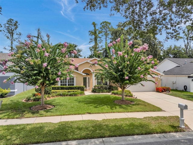 5646 Whitebark Dr, Wesley Chapel, FL 33543 - photo 56