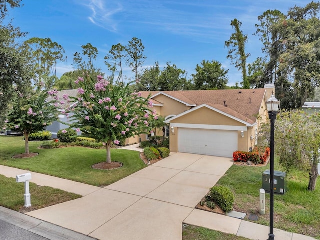 5646 Whitebark Dr, Wesley Chapel, FL 33543 - photo 57