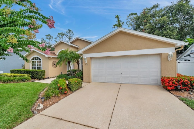 5646 Whitebark Dr, Wesley Chapel, FL 33543 - photo 5