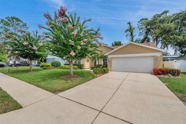 5646 Whitebark Dr, Wesley Chapel, FL 33543 - photo 54