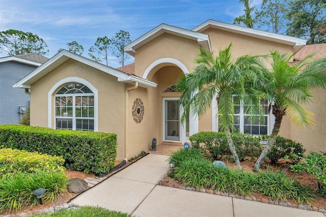 5646 Whitebark Dr, Wesley Chapel, FL 33543 - photo 55