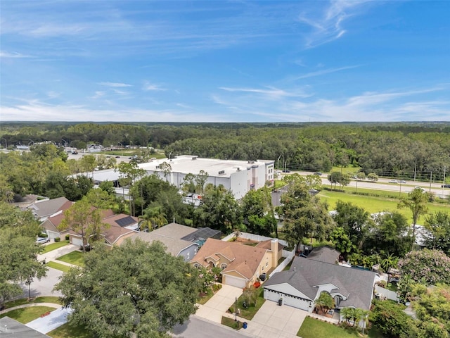 5646 Whitebark Dr, Wesley Chapel, FL 33543 - photo 59