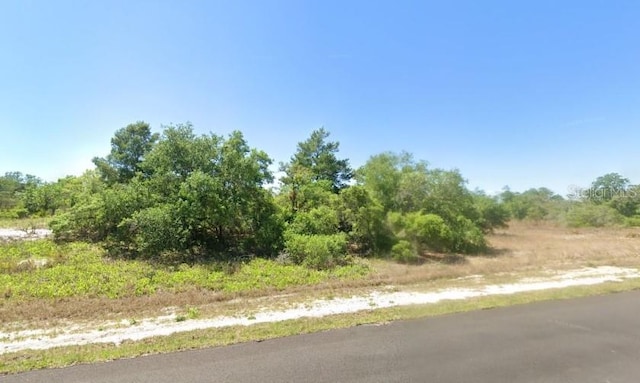 455 Jack Weisser Blvd, Lake Placid, FL 33852 - photo 1