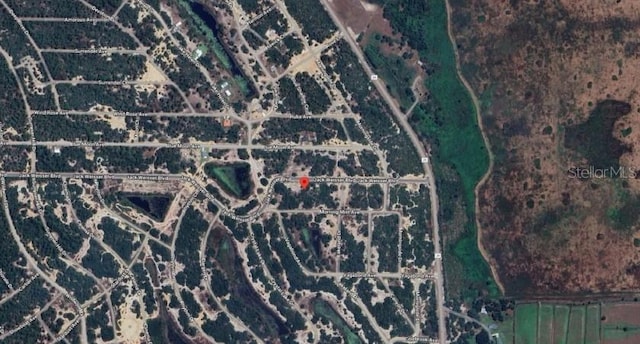 455 Jack Weisser Blvd, Lake Placid, FL 33852 - photo 9