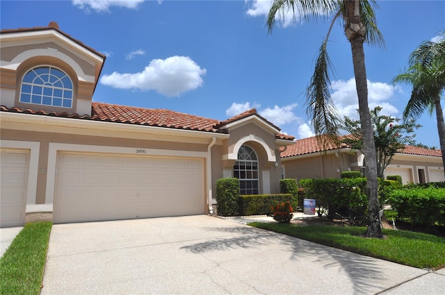 3891 Timber Ridge Ct, Palm Harbor, FL 34685 - photo 1