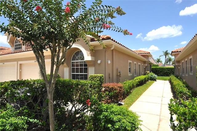 3891 Timber Ridge Ct, Palm Harbor, FL 34685 - photo 2