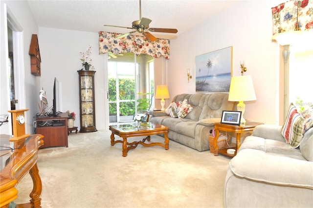 3891 Timber Ridge Ct, Palm Harbor, FL 34685 - photo 5