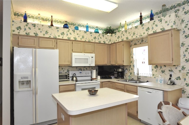 3891 Timber Ridge Ct, Palm Harbor, FL 34685 - photo 11
