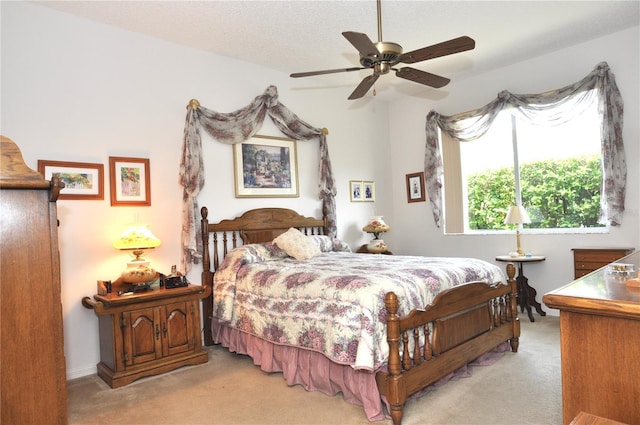 3891 Timber Ridge Ct, Palm Harbor, FL 34685 - photo 13