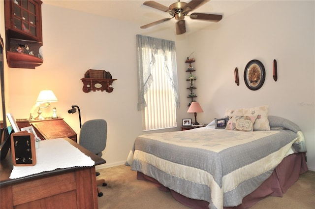 3891 Timber Ridge Ct, Palm Harbor, FL 34685 - photo 18