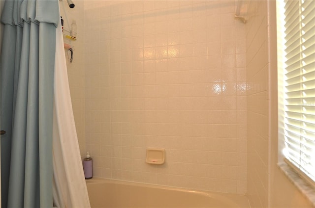 3891 Timber Ridge Ct, Palm Harbor, FL 34685 - photo 20