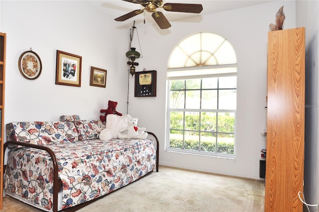 3891 Timber Ridge Ct, Palm Harbor, FL 34685 - photo 21